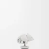 Chameleon-Anstecknadel aus Messing