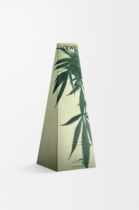 Duftkerzenhalter «Scent of Marihuana»