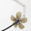 Flor-Halskette aus Sterlingsilber und Kristallen Flor-Halskette aus Sterlingsilber und Kristallen