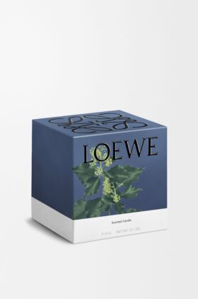 Grosse Efeu-Kerze