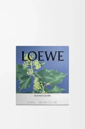 Grosse «Efeu»-Kerze
