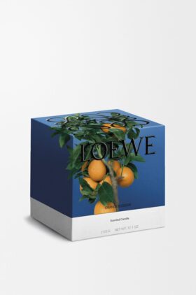 Grosse Kerze mit Orangenblüte