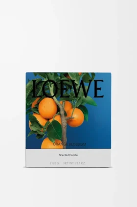 Grosse Kerze mit Orangenblüte