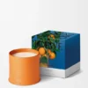 Grosse Kerze mit Orangenblüte