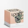 Grosse Oregano-Kerze