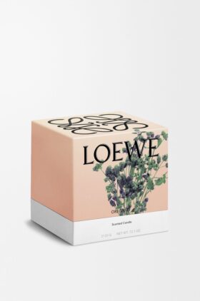 Grosse Oregano-Kerze