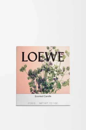 Grosse Oregano-Kerze