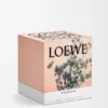 Grosse Oregano-Kerze