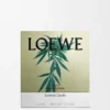 Grosse Scent of Marihuana-Duftkerze Grosse Scent of Marihuana-Duftkerze