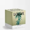 Grosse Scent of Marihuana-Duftkerze Grosse Scent of Marihuana-Duftkerze