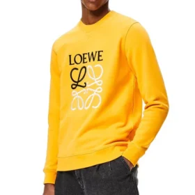 Herren-Pullover aus Baumwolle mit gesticktem loewe-Anagramm-Logo, orange, H526341Xa1-9100