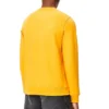 Herren-Pullover aus Baumwolle mit gesticktem loewe-Anagramm-Logo, orange, H526341Xa1-9100