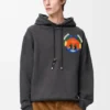 Hoodie aus Baumwolle
