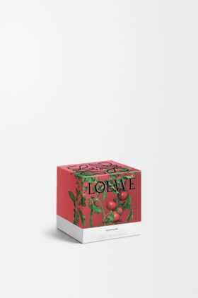 Kerze «Small Tomatenblätter»