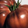 Tomatenblätter-Raumspray Tomatenblätter-Raumspray
