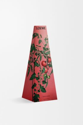Kerzenhalter «Tomatenblätter» aus Wachs