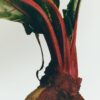 Grosse Kerze aus Roter Bete