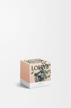 Kleine Oregano-Kerze
