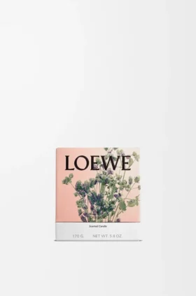 Kleine Oregano-Kerze