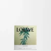 Kleine Scent of Marihuana-Duftkerze Kleine Scent of Marihuana-Duftkerze