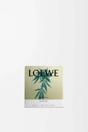 Kleine Scent of Marihuana-Duftkerze