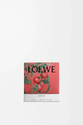 Kleine Tomatenblätter-Kerze
