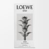 Loewe 001 Man Eau de Toilette 50 ml