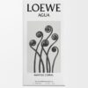 Loewe Agua Mar de Coral 100 ml