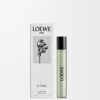 Loewe Aire Sutileza 15 ml Fläschli