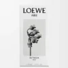 LOEWE Aire Sutileza Elixir 50 ml