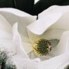 Loewe Aura White Magnolia 100 ml