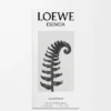 LOEWE Esencia Eau de Parfum 50 ml