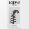 Loewe Esencia EDP 100 ml