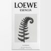 Loewe Esencia EDP 150 ml