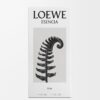 Loewe Esencia Elixir 50 ml