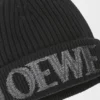 Loewe-Mütze aus Wolle Loewe-Mütze aus Wolle