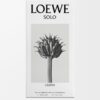 Loewe Solo Cedro 100 ml