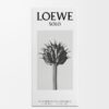 Loewe Solo EDT 50 ml
