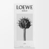 Loewe Solo Elixir 50 ml