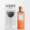 Loewe Solo Ella EDP 50 ml