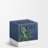 Medium Efeu Candle