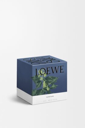 Medium Efeu Candle