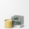 Medium Geißblatt Candle
