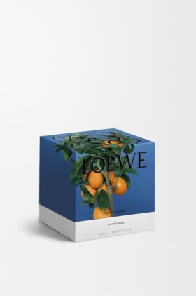 Mittelgrosse Kerze mit Noten von Orangenblüte