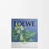 Mittlere «Efeu»-Kerze Mittlere «Efeu»-Kerze