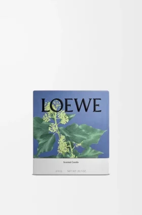 Mittlere «Efeu»-Kerze