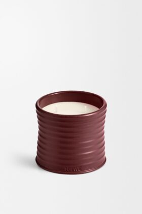 Mittlere Kerze aus Roter Bete
