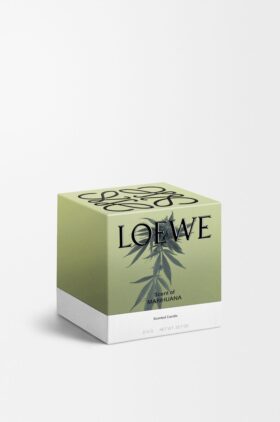 Mittlere Marihuana-Kerze