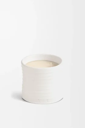 Mittlere Oregano-Kerze