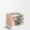 Mittlere Oregano-Kerze